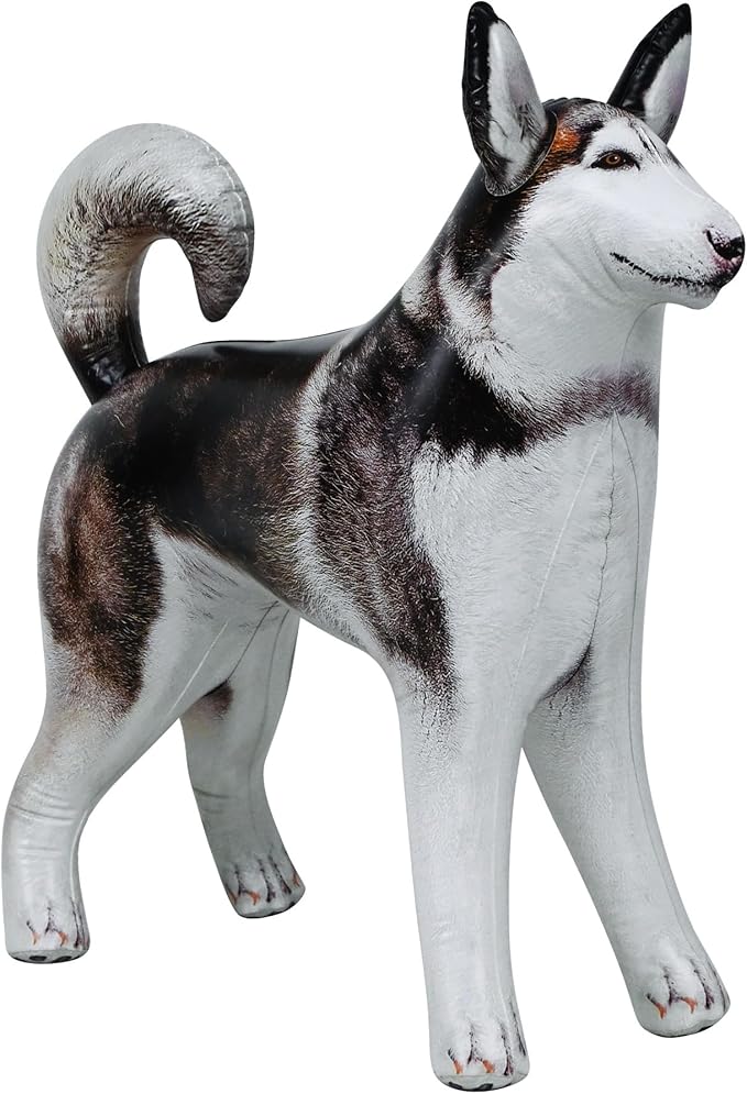 Jet Creations Inflatable Husky Dog Alaskan Pet Animal 32 inch Long for Party Decoration Gift Stuffed Animals Pool Toy an-Husky, Multi