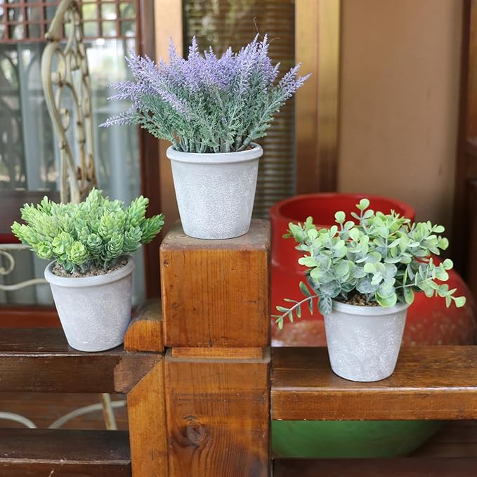 COTSEN 3 Pack Artificial Potted Plants Fake Potted Plants Artificia Eucalyptus Artificial Fake Flowers Hops Plants Artificial Lavender for Bookshelf Desk Home Decorate