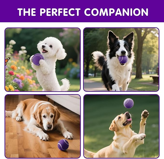 PHOEPET 6-Pack Tennis Balls for Beginner Training Practice- Bulk Dog Balls for Fetch Chew Toys(Purple)
