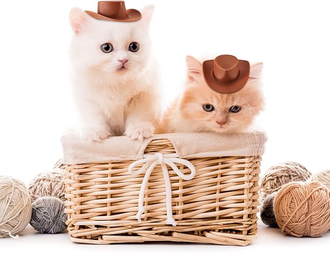 Skylety 20 Pieces Plastic Mini Cowboy Cowgirl Hat Miniature Western Small Doll Hat Cute Doll Cupcake Decoration for Dollhouse Cow Party Decoration(Brown)