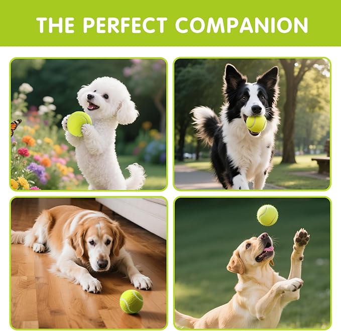PHOEPET 6-Pack Tennis Balls for Beginner Training Practice- Bulk Dog Balls for Fetch Chew Toys(Neon Yellow)