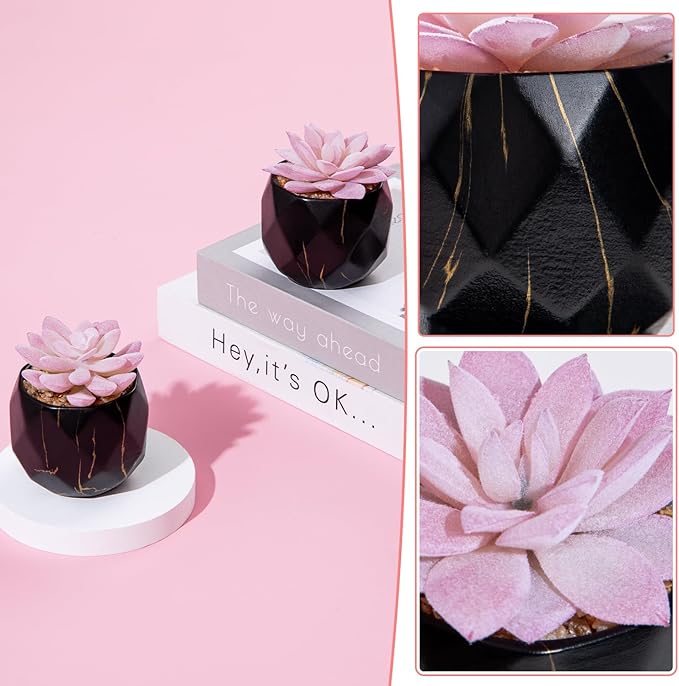 ZENIDA Artificial Succulent Plants in 2 Black Ceramic Pots, Cute Fake Plants for Vanity Decor, Office, Desk, Bathroom, Kitchen, Bedroom, Shelves Decor for Women, Girls Gift