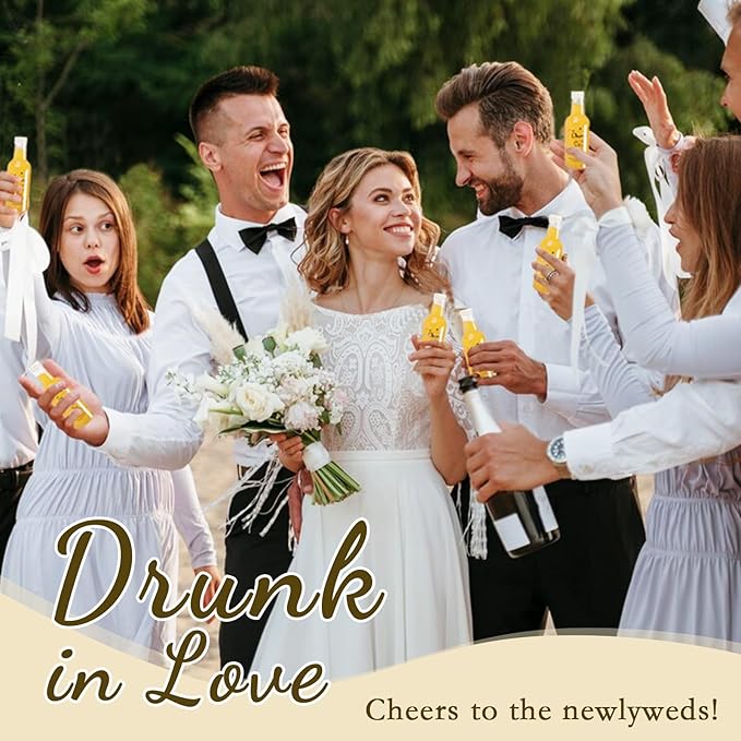 OurWarm 50 Pack Mini Liquor Bottles, 1.7oz/50ml Mini Shot Bottles with Gold Screw Caps Funnels Tags & Twines, Empty Wine Bottles for Juice Alcohol Homemade Liquor Birthday Wedding DIY Party Favors