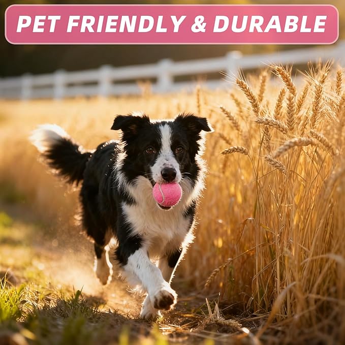 PoyPet 16-Pack Tennis Balls Bulk for Practice,Training and Beginners | Ideal for Dog Fetch,Chew and Play