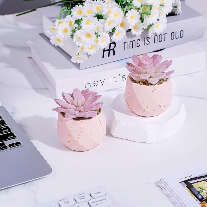 ZENIDA Artificial Succulent Plants in 2 Pink Ceramic Pots, Cute Fake Plants for Vanity Decor,Office, Desk, Bathroom, Kitchen,Bedroom, Shelves Decor for Women,Girls Gift