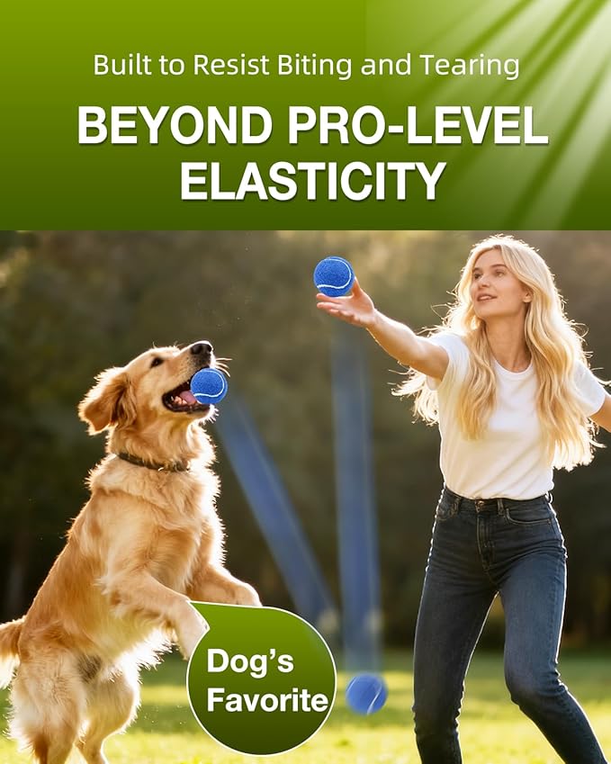 GOLDNITE Tennis Balls for Training and Dogs,12/20 Pack Practice Tennis Ball with Mesh Bag for Transport and Beginner Exercise High Elasticity Durable Pet Playing Tennis Ball Set