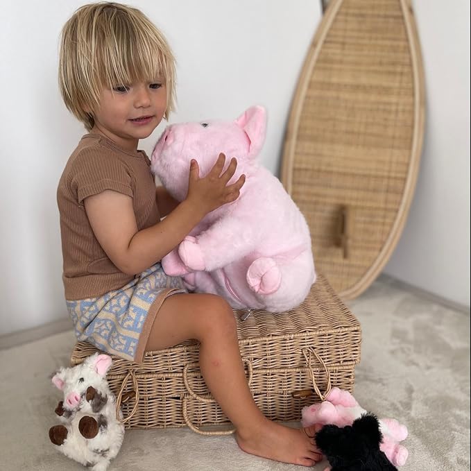5Pcs Pig Stuffed Animal, 16 Inch Mommy Pig Plush with 4 Soft Cuddly Baby Piggy Plushies in Mother Pig's Belly, Kawaii Chirstmas Birthday Gift for Girls Boys Kids, Baby Shower Decor