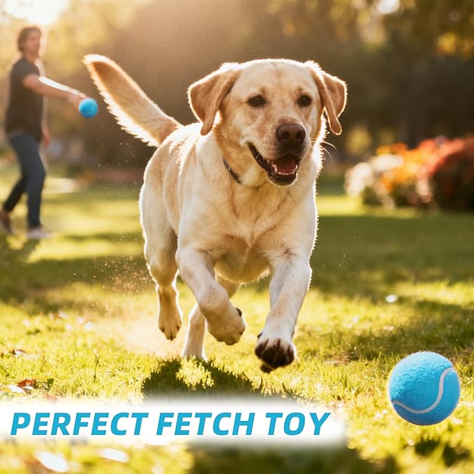 PoyPet 16-Pack Tennis Balls Bulk for Practice,Training and Beginners | Ideal for Dog Fetch,Chew and Play