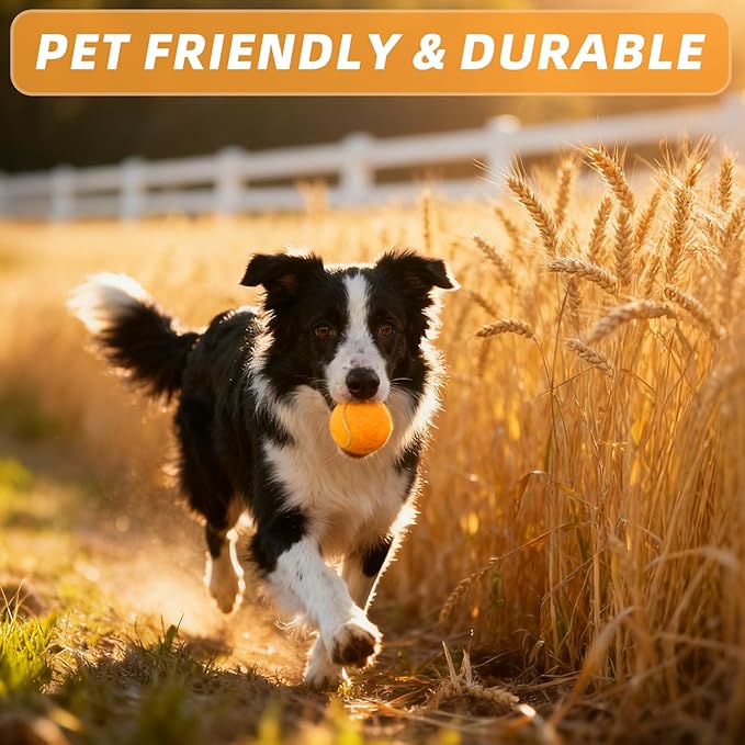 PoyPet 16-Pack Tennis Balls Bulk for Practice,Training and Beginners | Ideal for Dog Fetch,Chew and Play