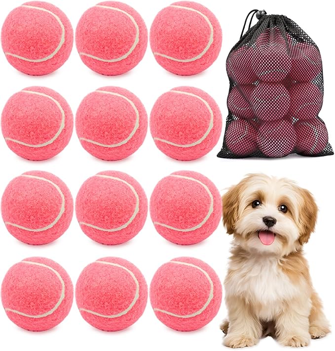 GOLDNITE Tennis Balls for Training and Dogs,12/20 Pack Practice Tennis Ball with Mesh Bag for Transport and Beginner Exercise High Elasticity Durable Pet Playing Tennis Ball Set