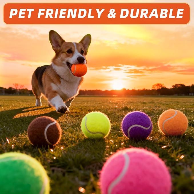 PoyPet 16-Pack Tennis Balls Bulk for Practice,Training and Beginners | Ideal for Dog Fetch,Chew and Play
