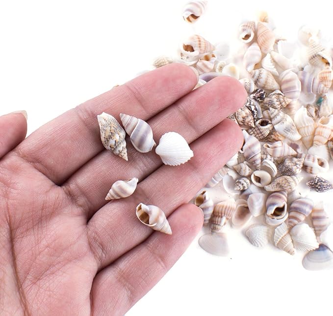 Super Z Outlet Tiny Miniature Fairy Garden Beach Critter Seashells Marine Life Collection for Vase Filler (2 Tbsp Pack)