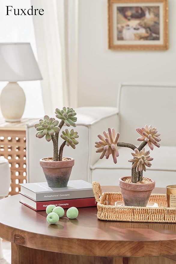 Fuxdre 2-Pack Artificial Succulent Plants in Vintage Plastic Pots - Waterproof Fake Succulents Decor for Home, Office, Desk - Low Maintenance Indoor Plants for Bathroom, Shelf, Table Decor