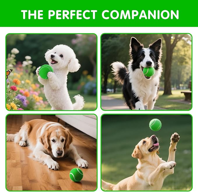 PHOEPET 6-Pack Tennis Balls for Beginner Training Practice- Bulk Dog Balls for Fetch Chew Toys(Green)