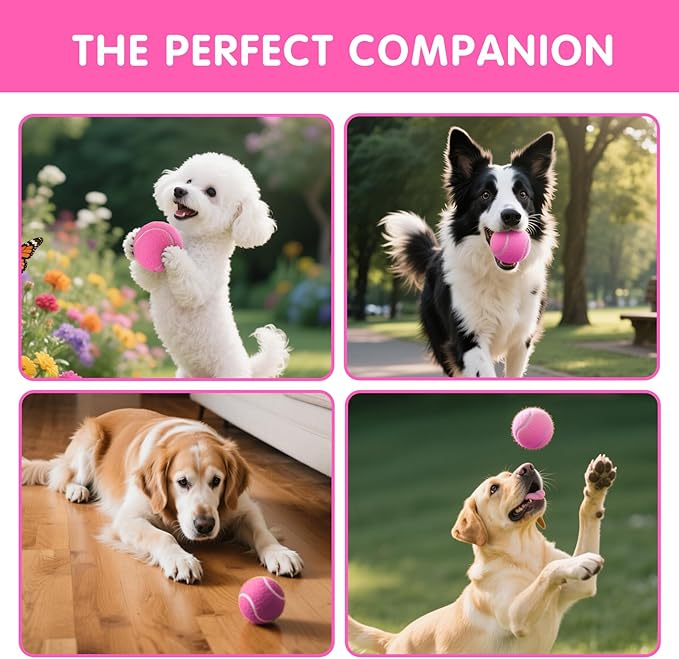 PHOEPET 6-Pack Tennis Balls for Beginner Training Practice- Bulk Dog Balls for Fetch Chew Toys(Pink)