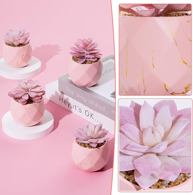 ZENIDA Artificial Succulent Plants in 4 Pink Ceramic Pots, Cute Fake Plants for Vanity Decor, Office, Desk, Bathroom, Kitchen, Bedroom, Shelves Decor for Women, Girls Gift