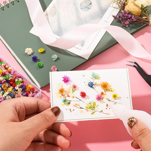 1800 PCS Small Dried Flowers for Crafts Resin - Tiny Dried Flowers for Nails, Natural Real Dried Pressed Flowers Bulk for DIY Jewelry Earrings Epoxy Molds, Candles Making, Soap Making