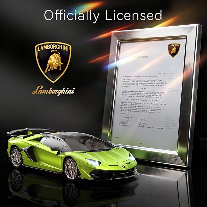 Lamborghini Remote Control Car, 1:24 Scale Electric Sport Racing Hobby Toy Car Lamborghini Model Vehicle for Boys Girls Birthday Gifts, Green