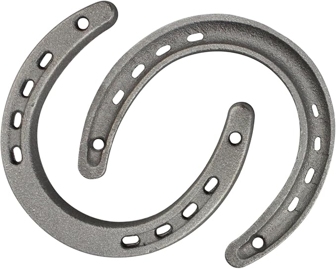 Onseeda Good Lucky Steel Horse-Shoe Wall Decor Cast Iron Horseshoe Ornament Cast Iron Medium Horseshoe Home Decoration(11 Holes on Each Side) 2 Pack