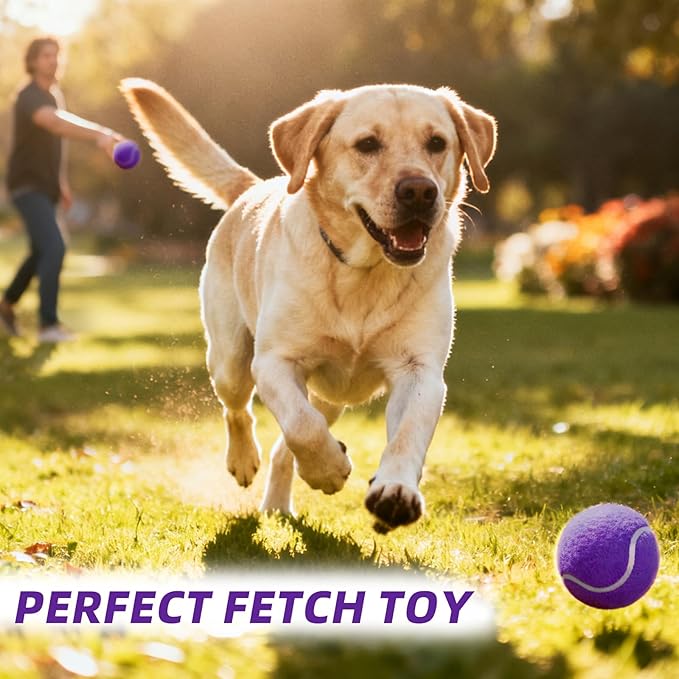 PoyPet 16-Pack Tennis Balls Bulk for Practice,Training and Beginners | Ideal for Dog Fetch,Chew and Play