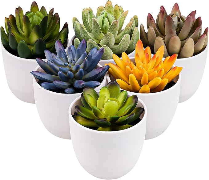 Gresorth Set of 6 Artificial Succulents Plant Decoration in Pots Faux Lotus Landscape Lifelike Assorted Aloe Potted Ornament Wedding Holiday