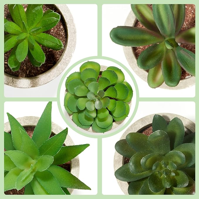 Dominow Artificial Succulent Plants in Pots, Set of 5 Mini Fake Succulents for Indoor Home Decor, Small Faux Potted Greenery for Office Desk, Shelf, Bathroom, or Modern Boho Rustic Room Decoration