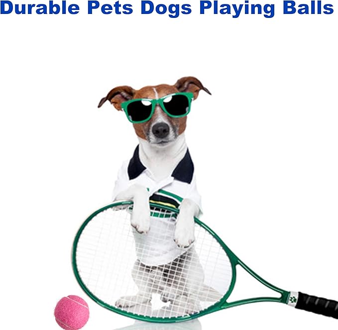 HiBallBall 12-Pack Practice Tennis Balls for Beginners & Dogs - Reusable Mesh Carry Bag Included - Ideal for Tennis Training, Pet Play, Fetch
