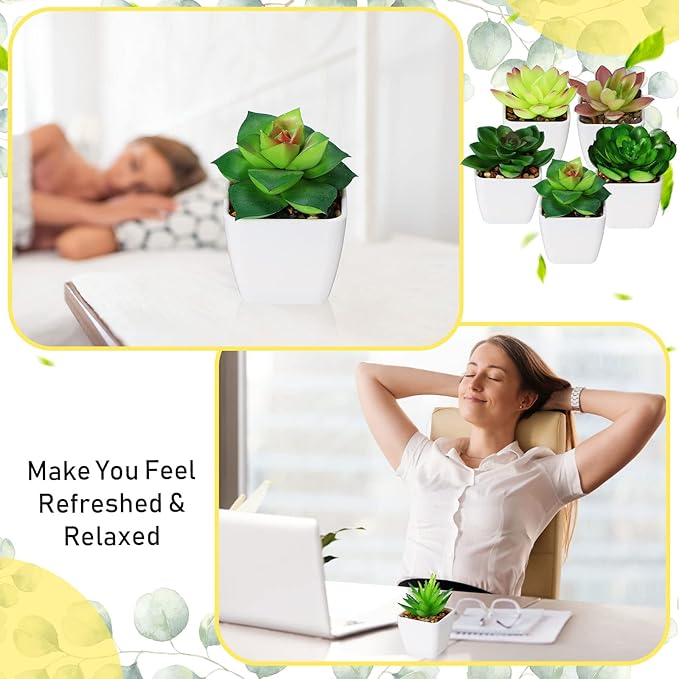 Yunlly 24 Pack Succulents Plants Artificial Mini Fake Succulents in Pots Small Potted Faux Succulent Plants Fake Plants in White Pots for Indoor Home Office Desk Window Bathroom Bedroom Decoration