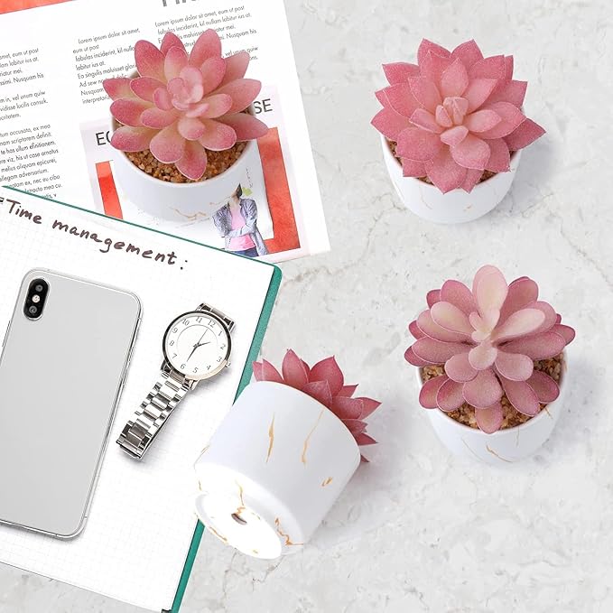 ZENIDA Succulent Artificial Plants,Cute Fake Succulents in 4 White Ceramic Pots,Small Fake Plants for Office,Table,Desk,Bathroom, Bedroom,Aesthetic Room Shelves Decor,Desk Decorations for Women Office