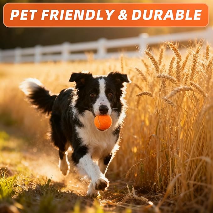 PoyPet 16-Pack Tennis Balls Bulk for Practice,Training and Beginners | Ideal for Dog Fetch,Chew and Play