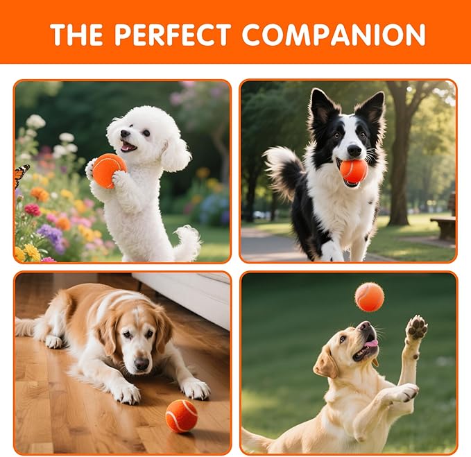 PHOEPET 6-Pack Tennis Balls for Beginner Training Practice- Bulk Dog Balls for Fetch Chew Toys(Orange)
