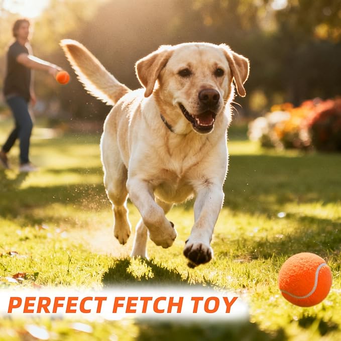 PoyPet 16-Pack Tennis Balls Bulk for Practice,Training and Beginners | Ideal for Dog Fetch,Chew and Play