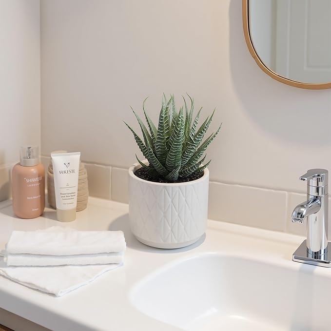Artificial Succulent in Ceramic Pot, 6.7'' High Potted Fake Aloe Succulent Plant for Home Office Desk Bathroom Boho Shelf Decor, Realistic Faux Aloe with No Maintenance