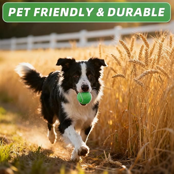 PoyPet 16-Pack Tennis Balls Bulk for Practice,Training and Beginners | Ideal for Dog Fetch,Chew and Play