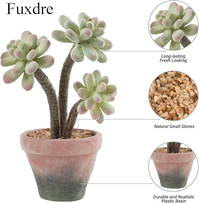 Fuxdre 2-Pack Artificial Succulent Plants in Vintage Plastic Pots - Waterproof Fake Succulents Decor for Home, Office, Desk - Low Maintenance Indoor Plants for Bathroom, Shelf, Table Decor