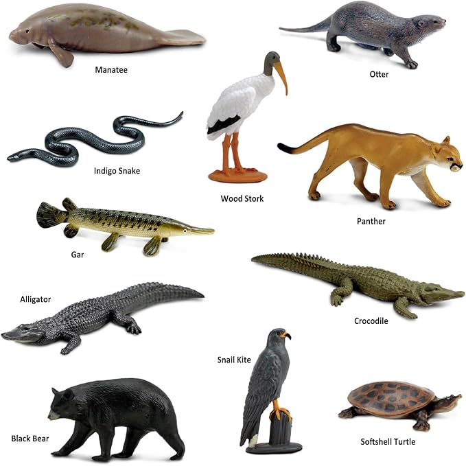 Safari Ltd. Everglades TOOB - 11 Mini Figurines: Manatee, Alligator, Turtle & More - Educational Toy Set for Boys, Girls & Kids Ages 3+