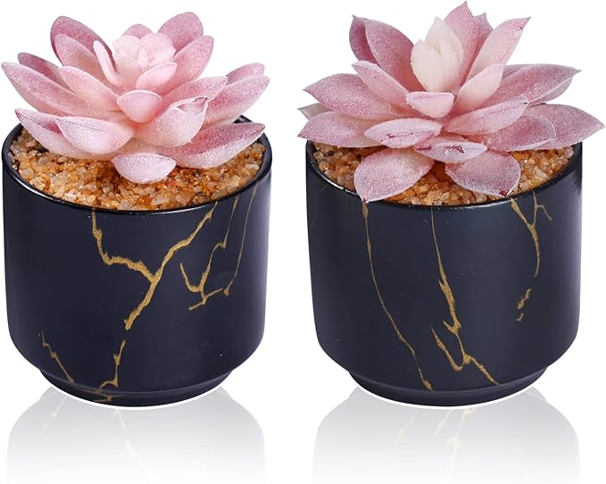 ZENIDA Succulent Artificial Plants,Cute Fake Succulents in 2 Black Ceramic Pots,Small Fake Plants for Office,Table,Desk,Bathroom, Bedroom,Aesthetic Room Shelves Decor,Desk Decorations for Women Office