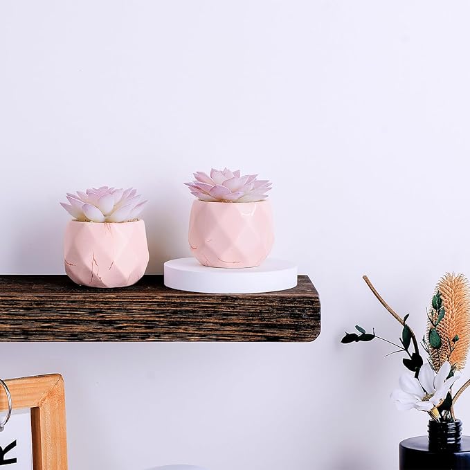 ZENIDA Artificial Succulent Plants in 2 Pink Ceramic Pots, Cute Fake Plants for Vanity Decor,Office, Desk, Bathroom, Kitchen,Bedroom, Shelves Decor for Women,Girls Gift