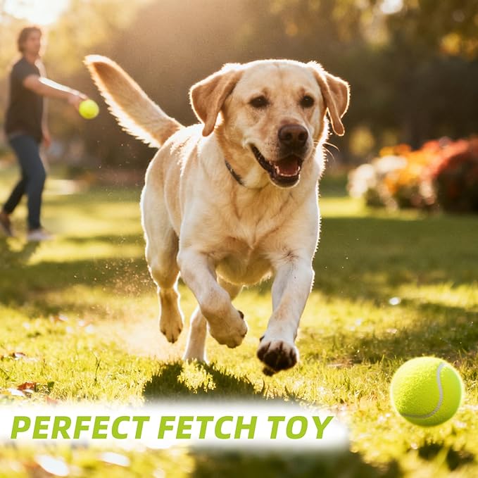 PoyPet 16-Pack Tennis Balls Bulk for Practice,Training and Beginners | Ideal for Dog Fetch,Chew and Play