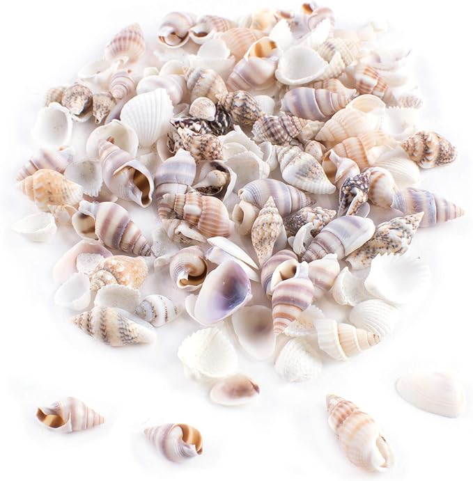 Super Z Outlet Tiny Miniature Fairy Garden Beach Critter Seashells Marine Life Collection for Vase Filler (2 Tbsp Pack)