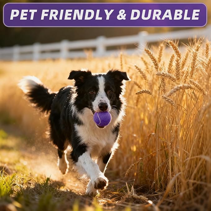 PoyPet 16-Pack Tennis Balls Bulk for Practice,Training and Beginners | Ideal for Dog Fetch,Chew and Play