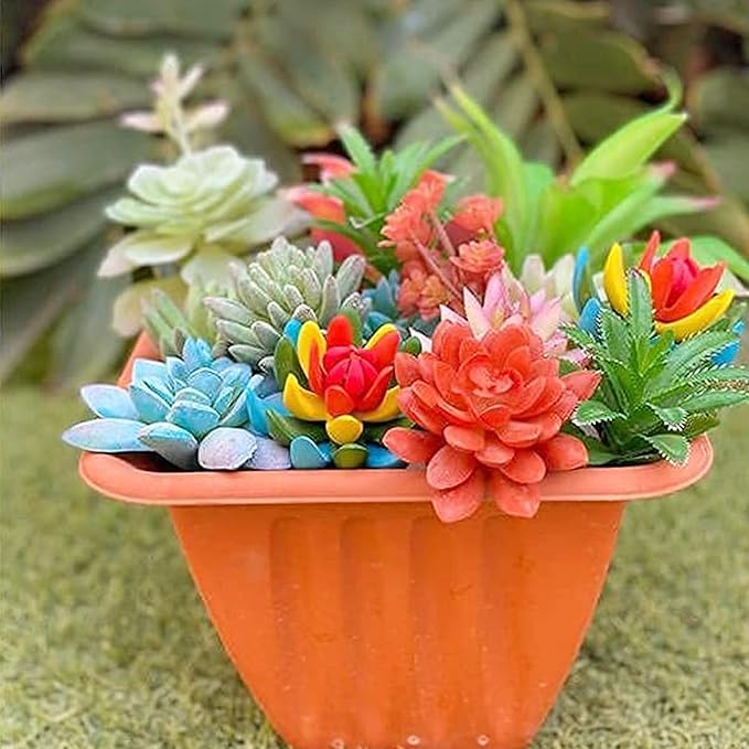 Woohome 34 PCS Artificial Succulents Picks Set, 24 PCS Mixed Color Artificial Succulent Plants and 10 PCS Simulation Ladybug for Faux Succulents Floral Arrangement, Home Decoration