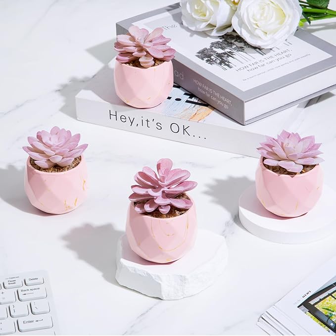 ZENIDA Artificial Succulent Plants in 4 Pink Ceramic Pots, Cute Fake Plants for Vanity Decor, Office, Desk, Bathroom, Kitchen, Bedroom, Shelves Decor for Women, Girls Gift