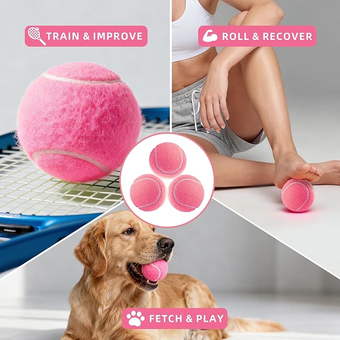 PoyPet 16-Pack Tennis Balls Bulk for Practice,Training and Beginners | Ideal for Dog Fetch,Chew and Play
