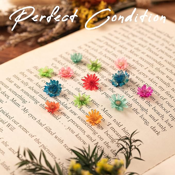 880 PCS Small Dried Flowers for Crafts Resin - Tiny Dried Flowers for Nails, Natural Real Dried Pressed Flowers Bulk for DIY Jewelry Earrings Epoxy Molds, Candles Making, Soap Making