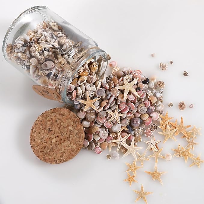 PPCLION 60pcs Tiny Starfish 1800 Pcs Tiny Mini Small Sea Shells for Crafting Spiral Conch Shells for Crafts Charms for Home Decorations Candle Decor DIY Fish Tank and Beach Vase Filler