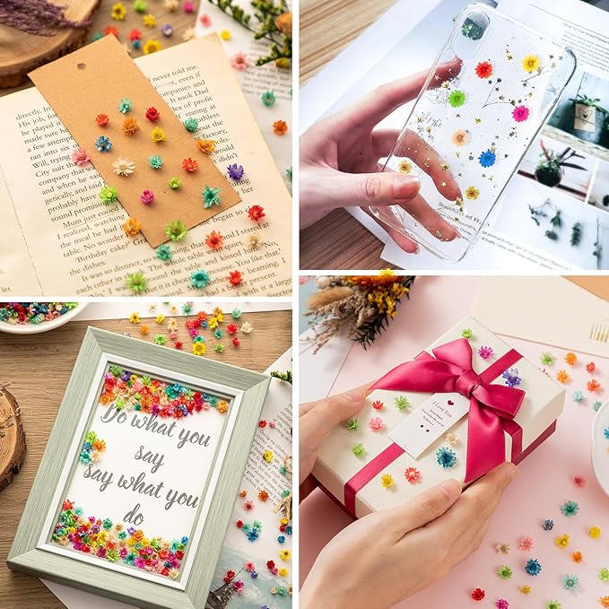 560 PCS Small Dried Flowers for Crafts - Mini Dried Flowers for Resin, Tiny Natural Real Dried Pressed Flowers Bulk for DIY Jewelry Earrings Epoxy Molds, Candles Soap Making