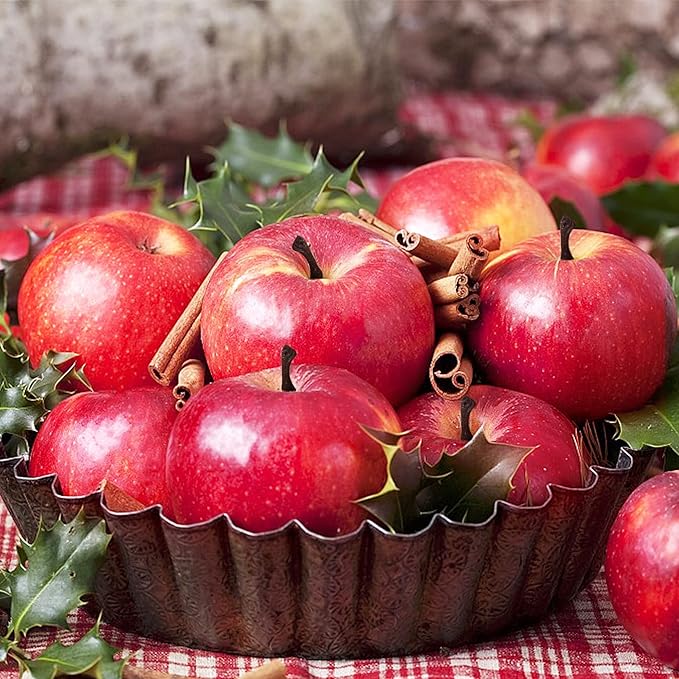 Fake Fruit Artificial Apples, Set of 6 Decorative Fruit Lifelike Faux Apples Realistic Fruits Apple Decorations for Kitchen, Realistic Fake Fruits Party Props Home Decor