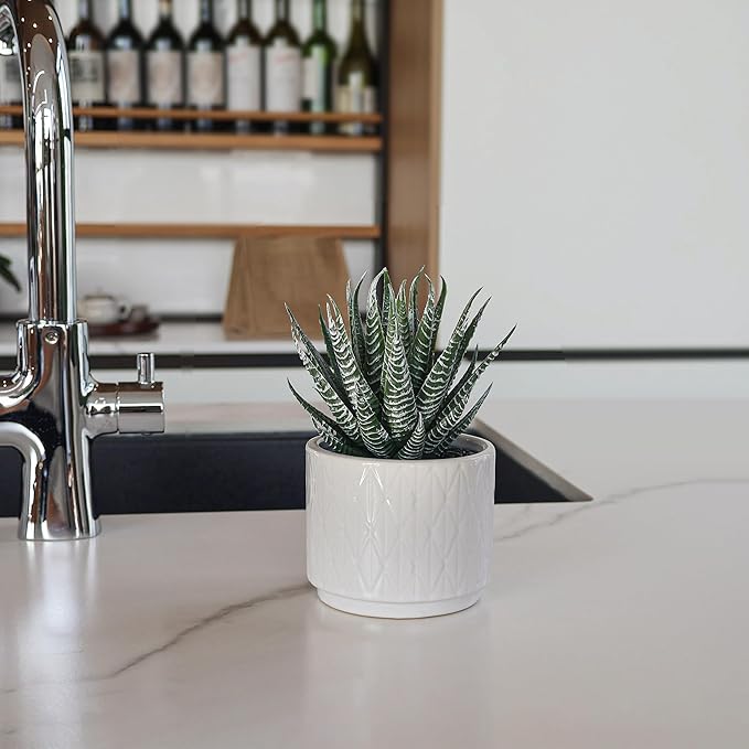 Artificial Succulent in Ceramic Pot, 6.7'' High Potted Fake Aloe Succulent Plant for Home Office Desk Bathroom Boho Shelf Decor, Realistic Faux Aloe with No Maintenance