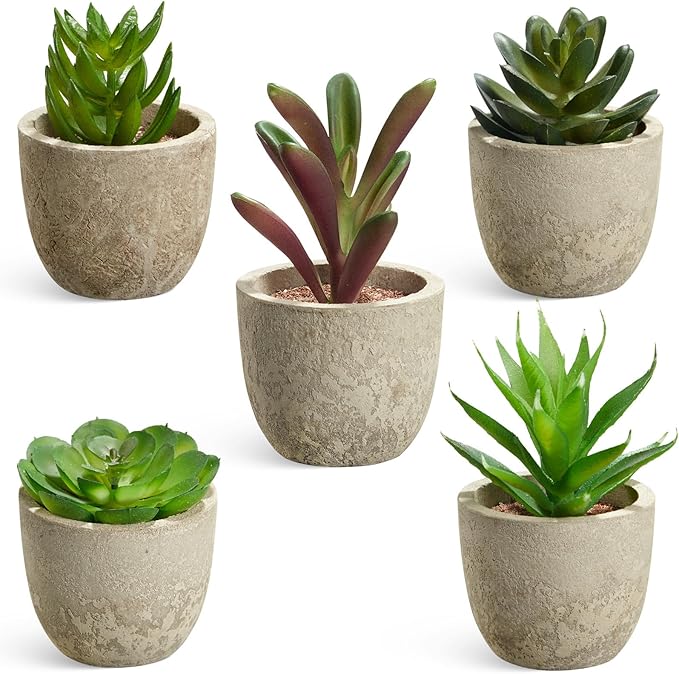 Dominow Artificial Succulent Plants in Pots, Set of 5 Mini Fake Succulents for Indoor Home Decor, Small Faux Potted Greenery for Office Desk, Shelf, Bathroom, or Modern Boho Rustic Room Decoration